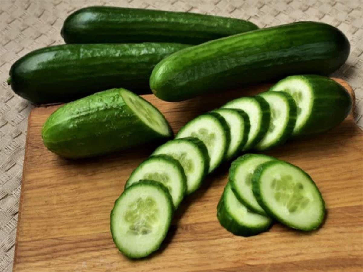 इन 5 लोगों को गलती से भी खीरा नहीं खाना चाहिए, अगर खा भी लें तो बीज निकाल दें, वरना बीमार पड़ सकते हैं इन 5 लोगों को गलती से भी खीरा नहीं खाना चाहिए, अगर खा भी लें तो बीज निकाल दें, वरना बीमार पड़ सकते हैं