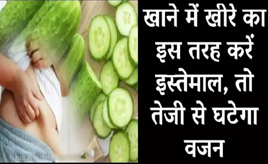 खीरे का कुछ इस तरह से सेवन करने से कुछ ही दिनों में जादुई तरीके से घट जायेगा आपका वजन, नहीं यकीन तो एक बार पढ़ लो ये जानकारी खीरे का कुछ इस तरह से सेवन करने से कुछ ही दिनों में जादुई तरीके से घट जायेगा आपका वजन, नहीं यकीन तो एक बार पढ़ लो ये जानकारी