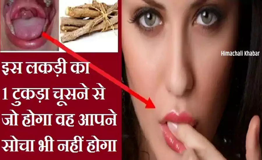 इस लकड़ी का 1 टुकड़ा चूसने से जो होगा चमत्कार जो आपने कभी सोचा भी नहीं होगा, जरूर जाने इस लकड़ी का 1 टुकड़ा चूसने से जो होगा चमत्कार जो आपने कभी सोचा भी नहीं होगा, जरूर जाने