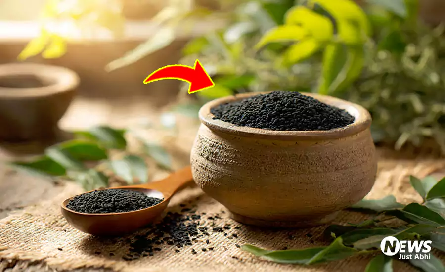 मौत को छोड़ कर हर मर्ज की दवाँ है साधारण सा दिखने वाला कलौंजी, इसके फायदे ऐसे की डॉक्टर भी रह जाते हैं हैरान मौत को छोड़ कर हर मर्ज की दवाँ है साधारण सा दिखने वाला कलौंजी, इसके फायदे ऐसे की डॉक्टर भी रह जाते हैं हैरान