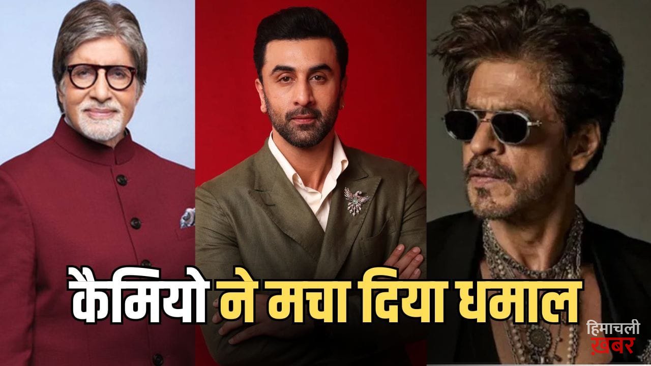 Bollywood Cameo: बड़े स्टार्स के छोटे रोल… जब अचानक स्क्रीन पर दिखे ये स्टार्स, थिएटर में गूंज उठी तालियां